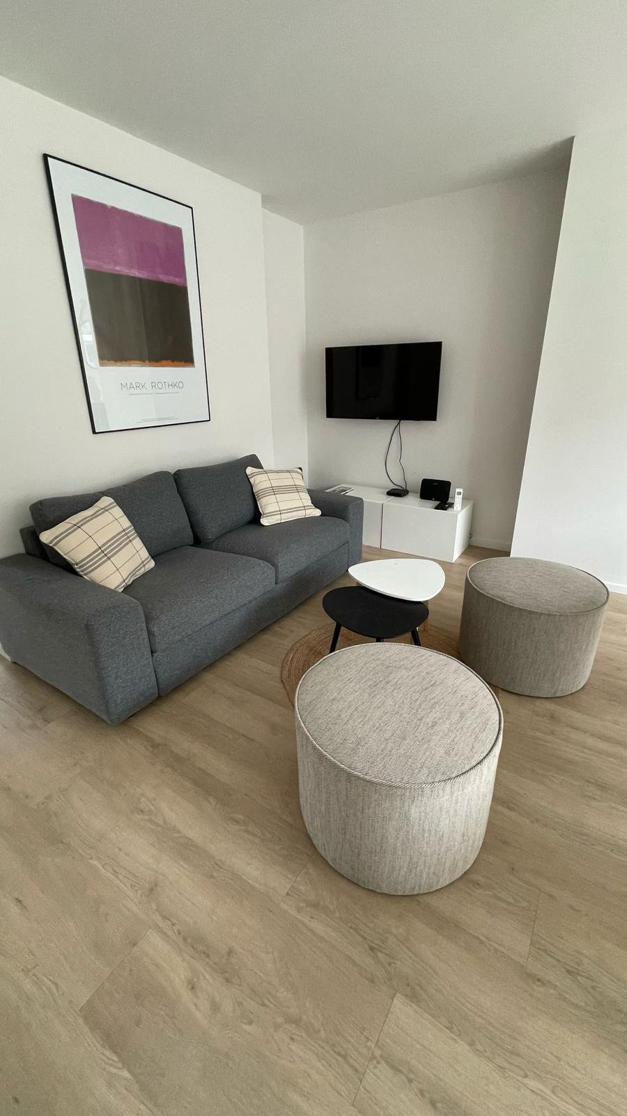 Séjour spacieux + canapé-lit